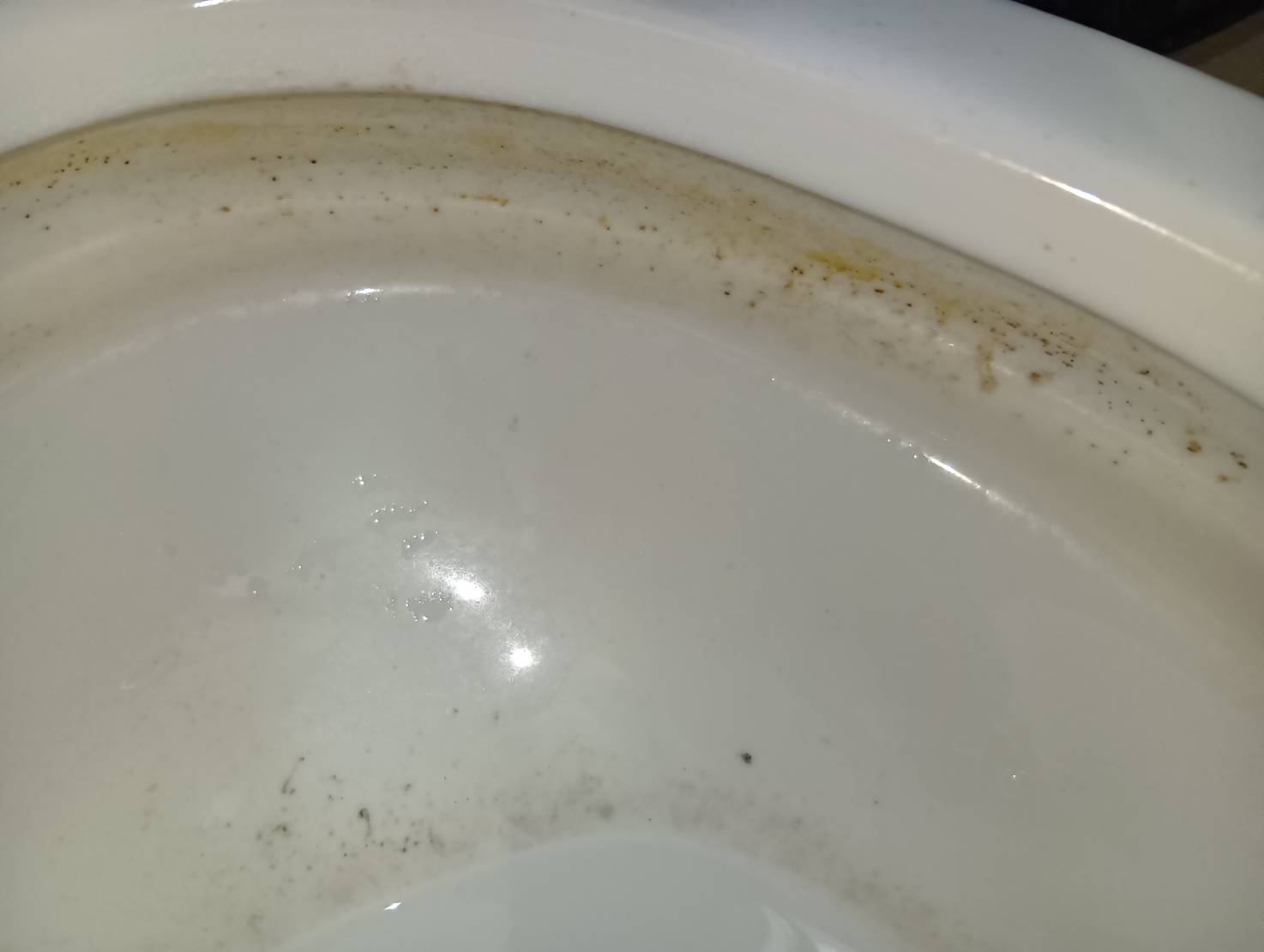 トイレの施工写真