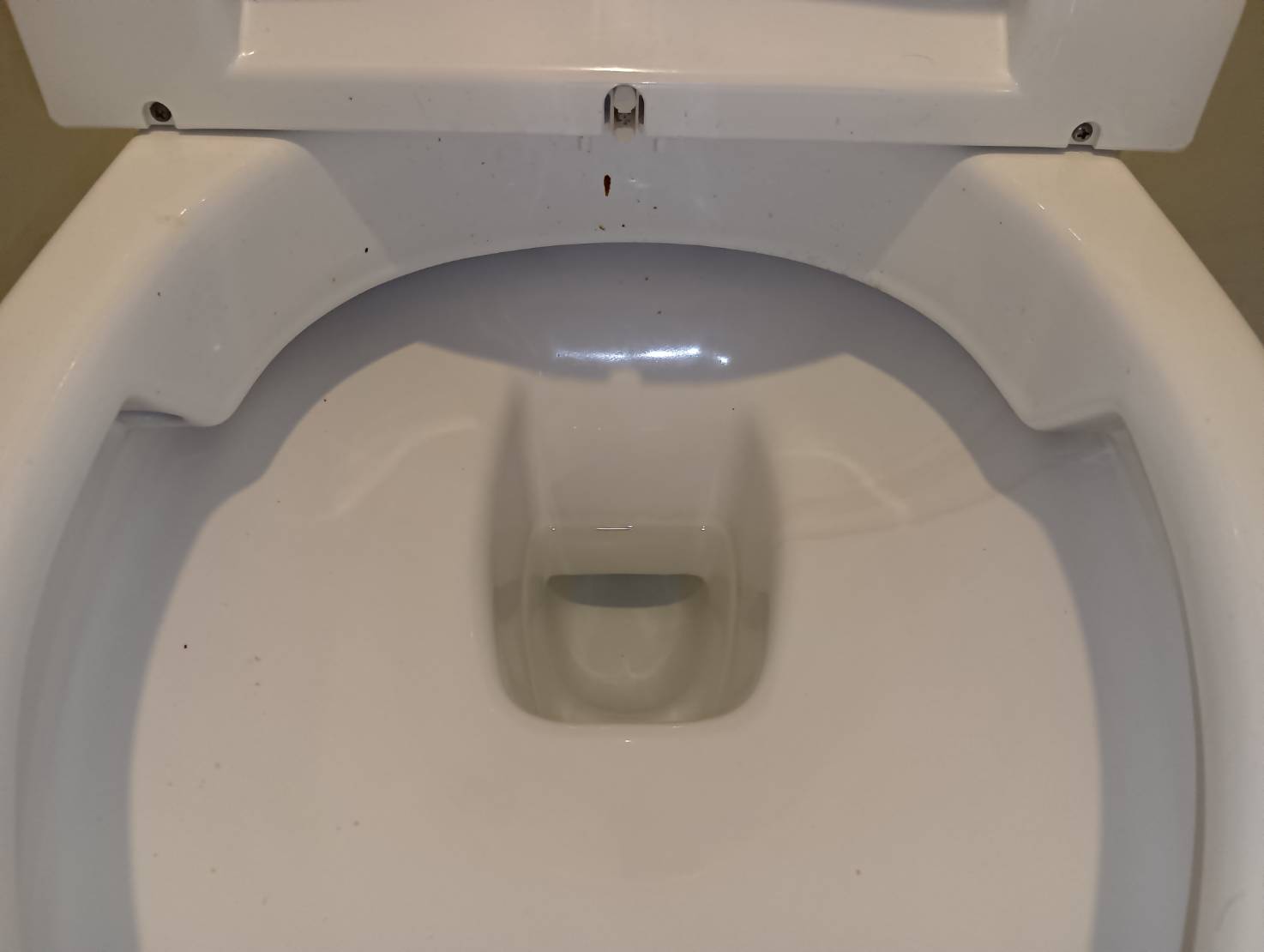 水回りの施工写真
