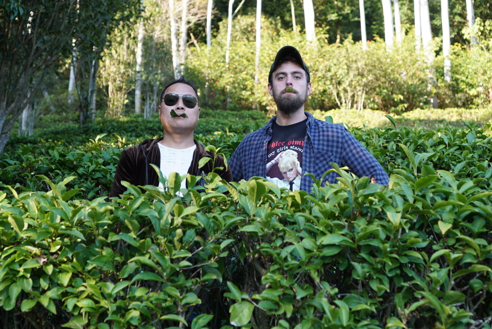 Brother Orange film still