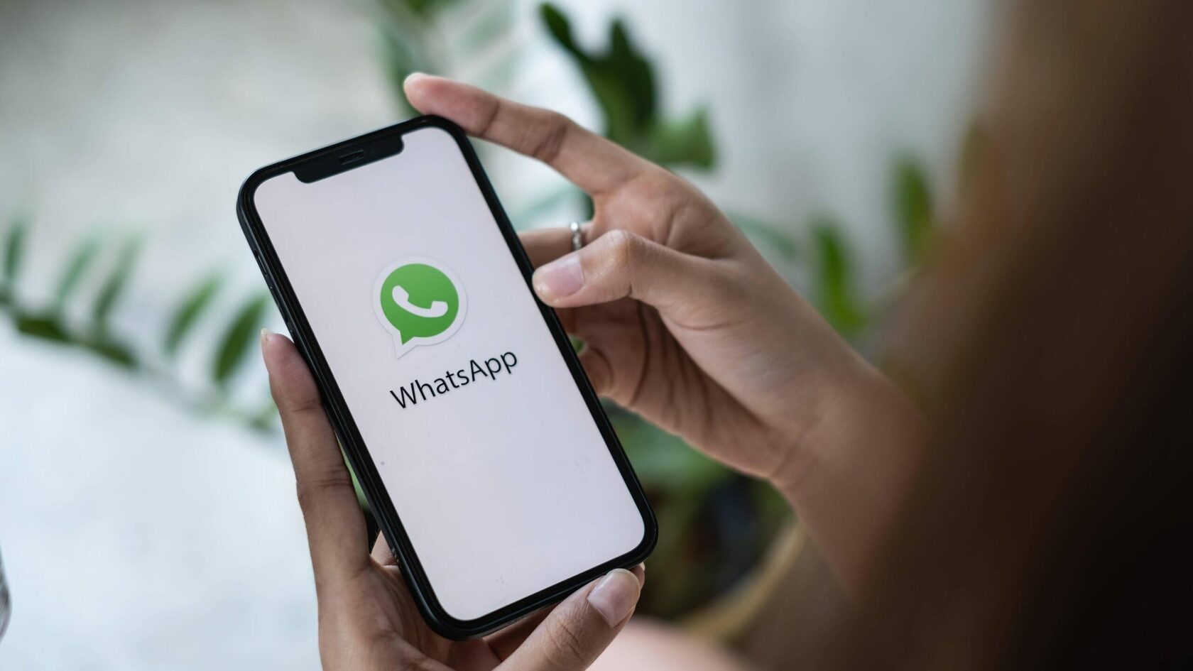 WhatsApp для бизнеса