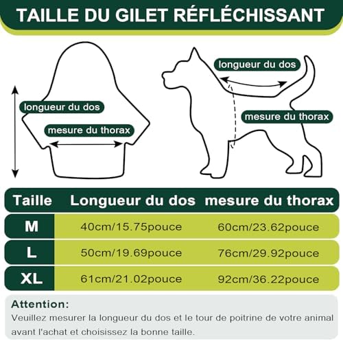 Vue 3 de Voarge Gilet De Securite