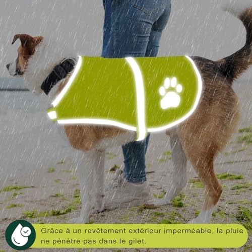 Vue 6 de Voarge Gilet De Securite