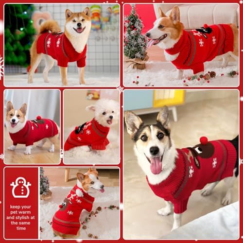 Vue 2 de Pull Noel Chien Pull