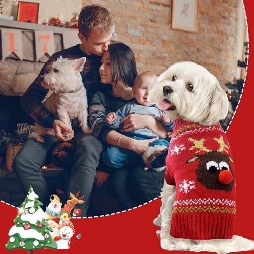 Vue 5 de Pull Noel Chien Pull