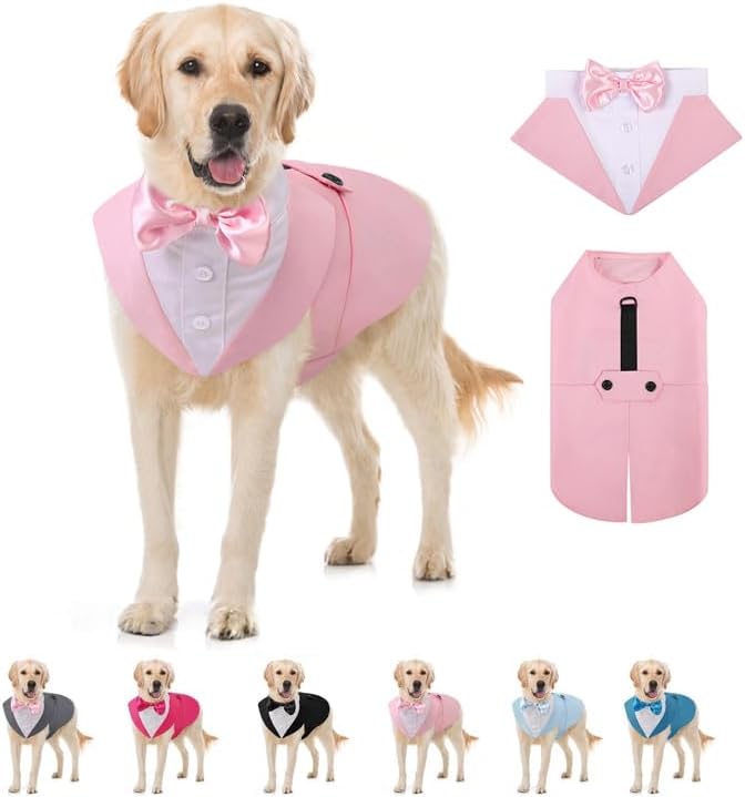 Aofitee Smoking Pour Chien