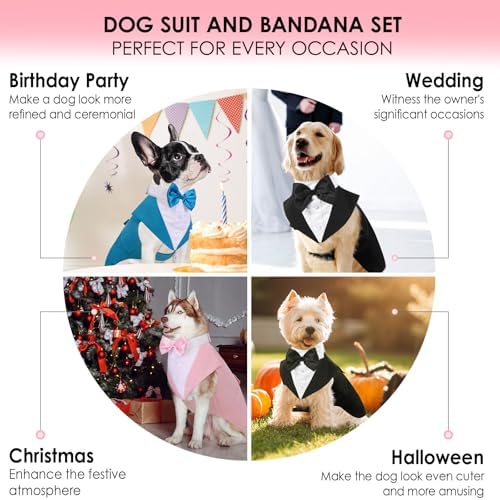 Vue 5 de Aofitee Smoking Pour Chien