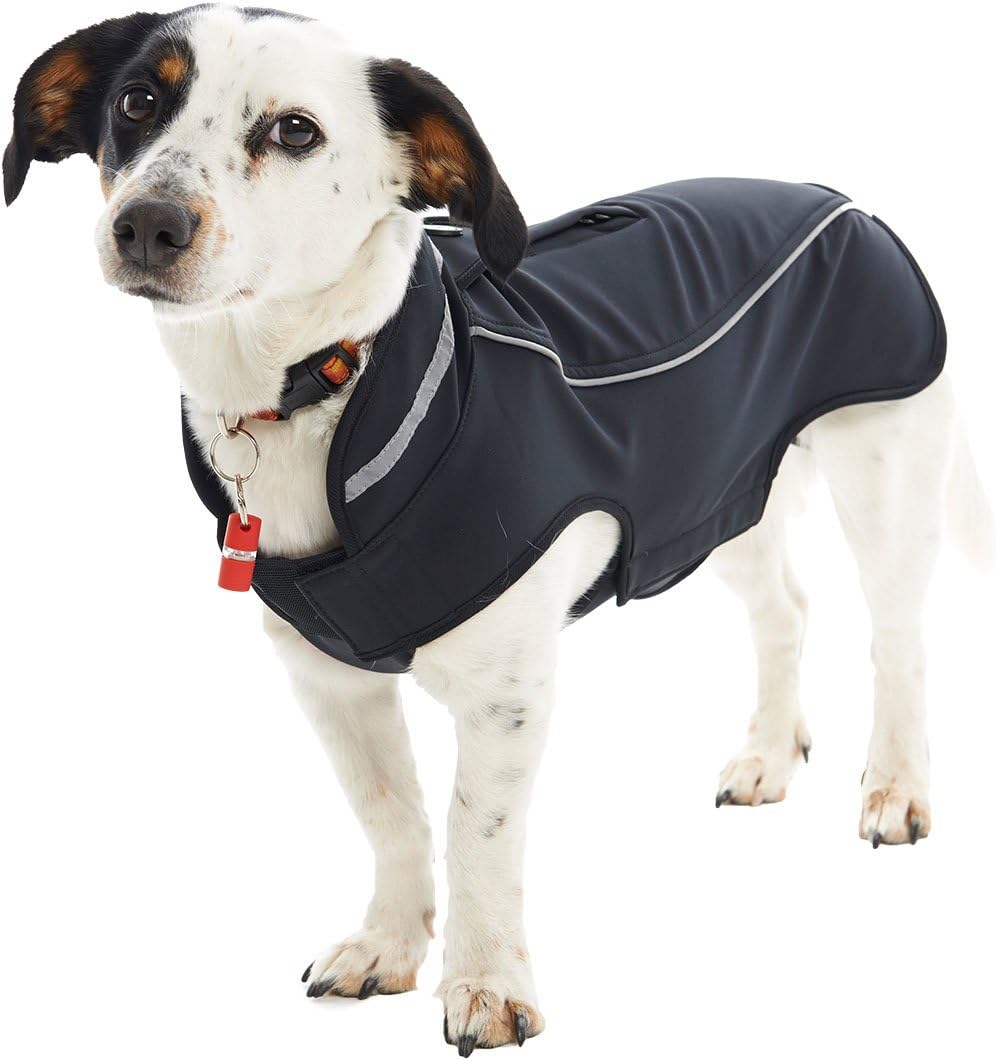Buster Veste Softshell Pour