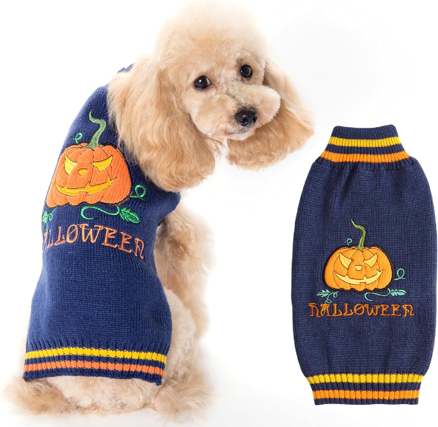 Pull Chien Halloween Pull