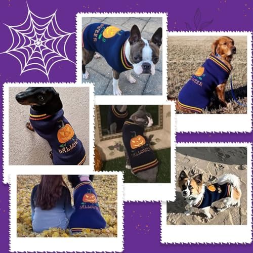 Vue 2 de Pull Chien Halloween Pull