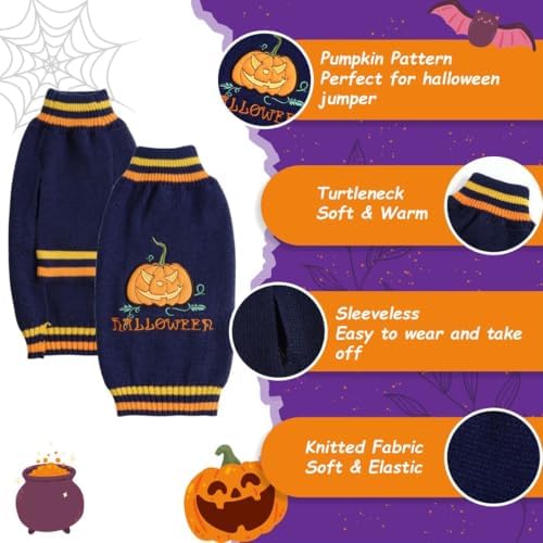 Vue 4 de Pull Chien Halloween Pull
