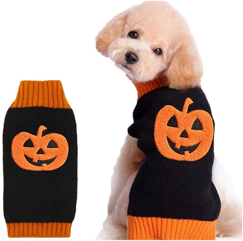 Doggyzstyle Halloween Citrouille Chien
