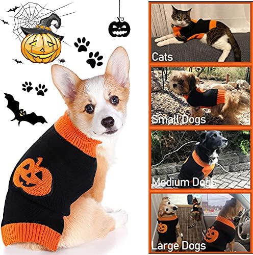 Vue 5 de Doggyzstyle Halloween Citrouille Chien
