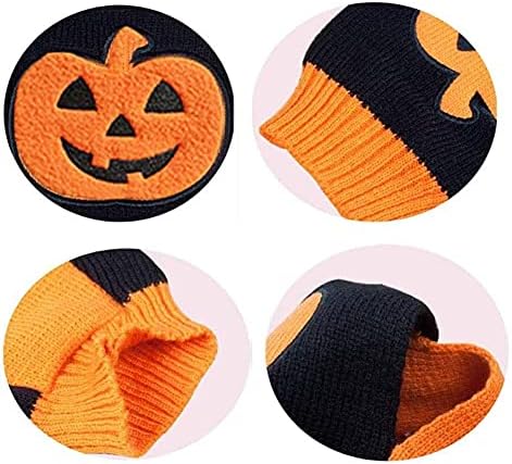 Vue 6 de Doggyzstyle Halloween Citrouille Chien