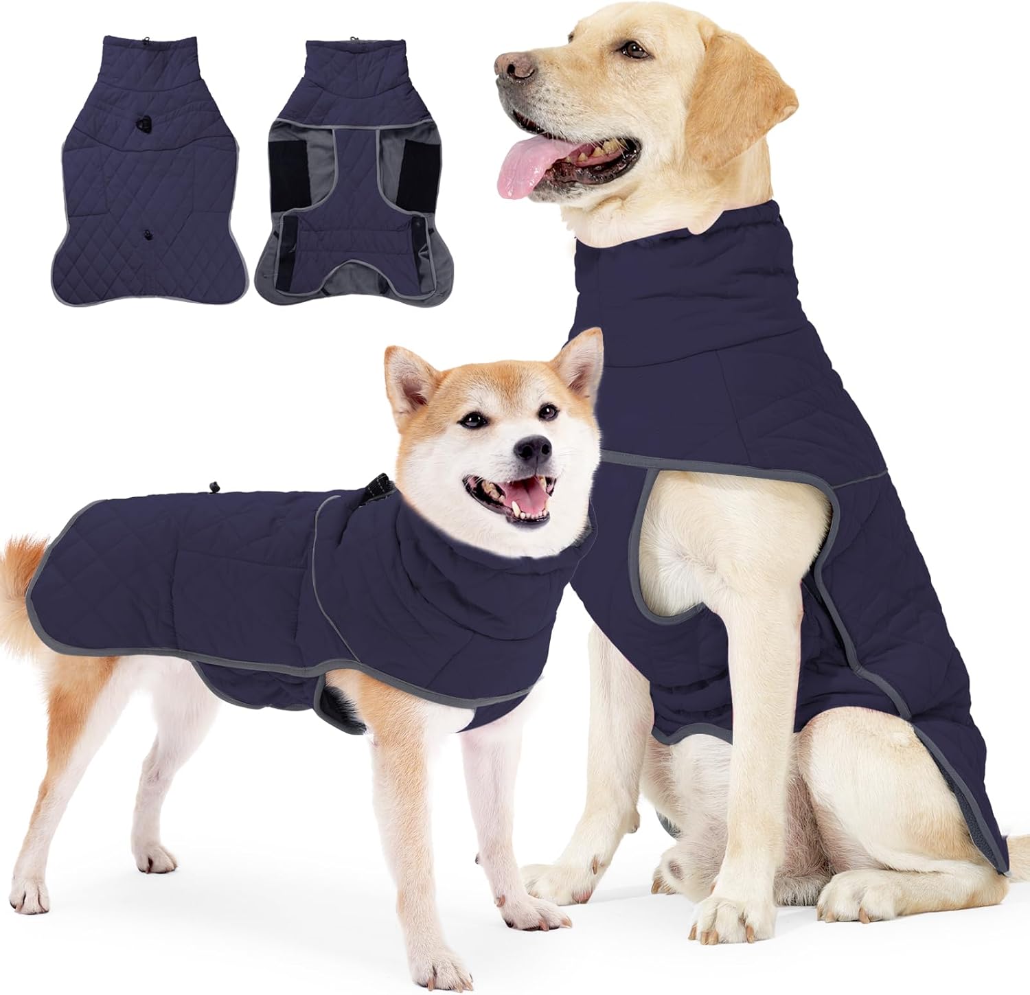 Pawivid Veste Et Manteau