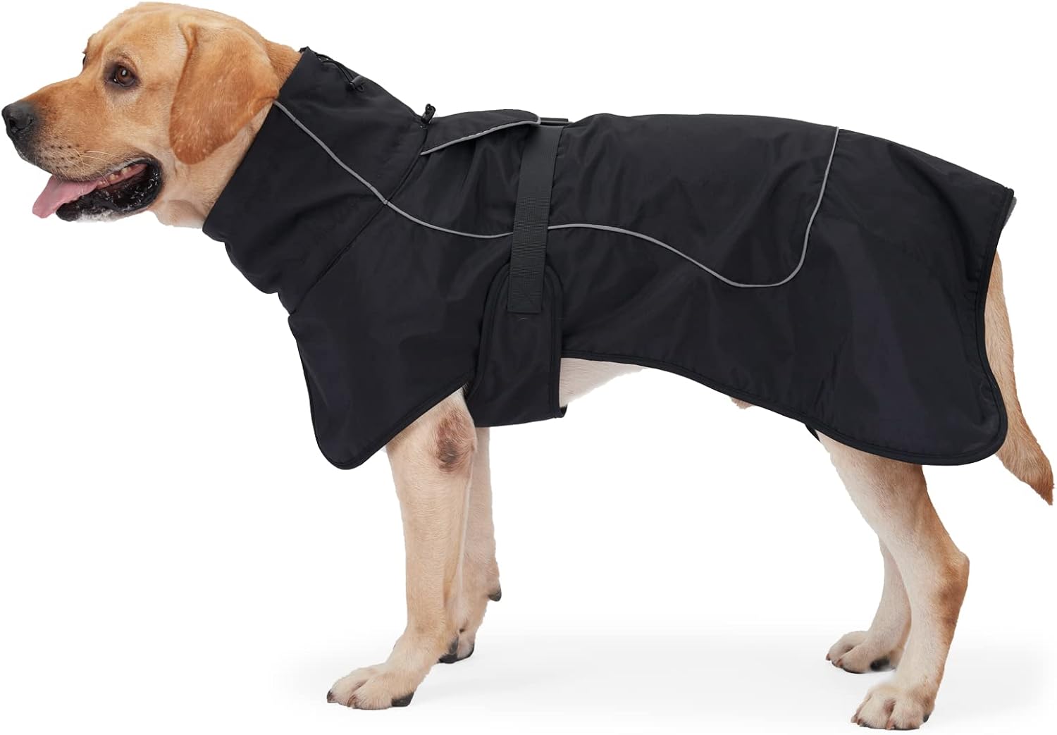 Heywean Veste Pour Chien