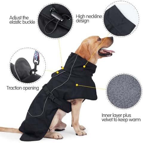 Vue 2 de Heywean Veste Pour Chien
