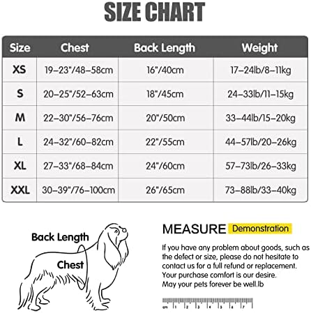 Vue 3 de Heywean Veste Pour Chien