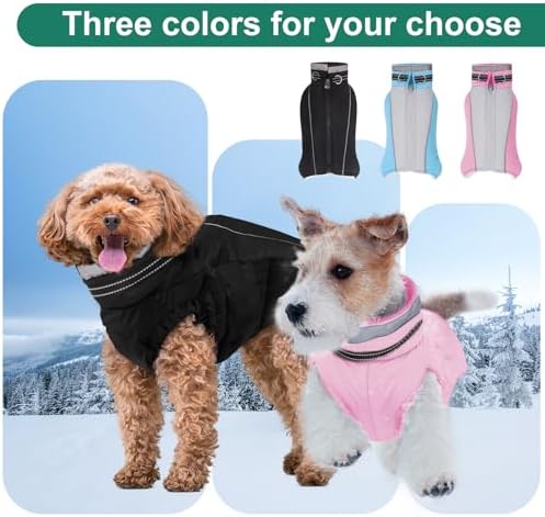 Vue 6 de Julys Song Gilet Pour