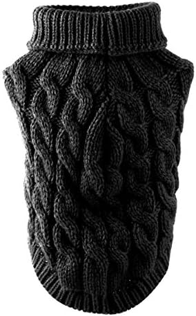 Vue 2 de Animal De Compagnie Chien