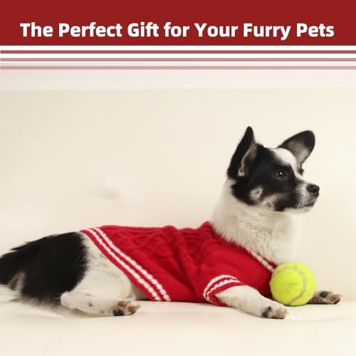 Vue 6 de Liebedd Pull Grand Col