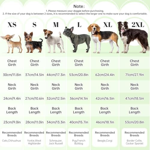 Vue 3 de Mhaustlie Pull Pour Chien