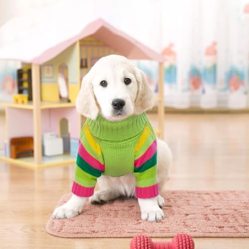 Vue 6 de Mhaustlie Pull Pour Chien