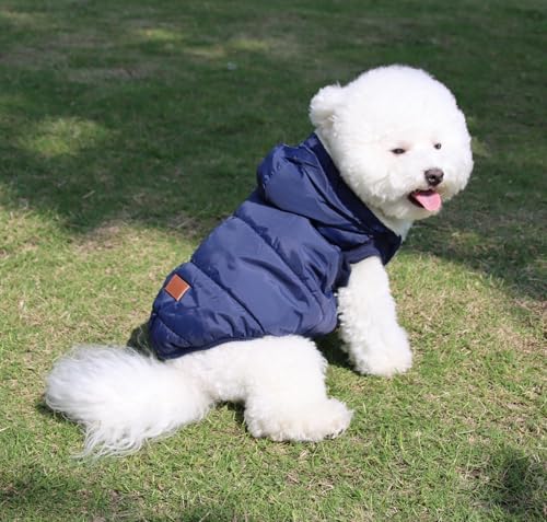 Vue 2 de Joydaog Sweat Capuche