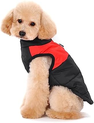 Vue 3 de Ectkuee Petit Manteau Impermeable