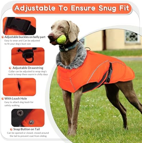 Vue 3 de Manteau Impermeable Pour Chien