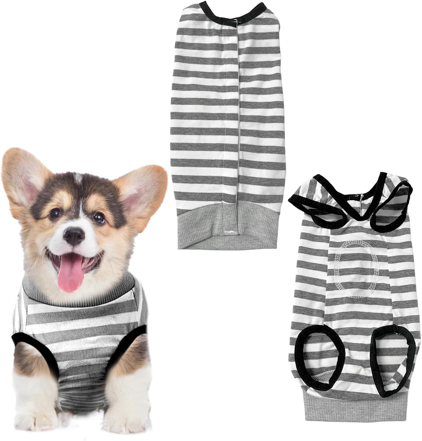 Combinaison Pour Chien Apres