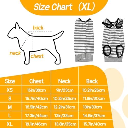 Vue 2 de Combinaison Pour Chien Apres