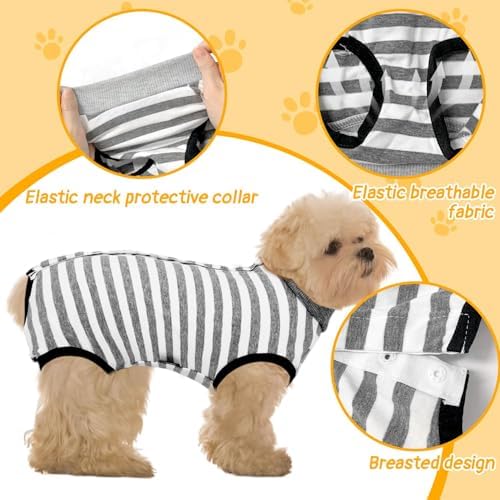 Vue 4 de Combinaison Pour Chien Apres