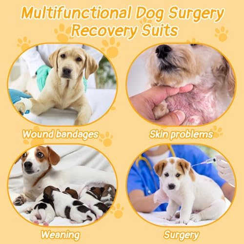 Vue 7 de Combinaison Pour Chien Apres