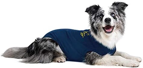 Vue 3 de Mps Medical Pet Shirt