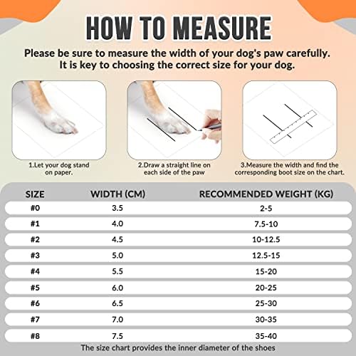 Vue 2 de Slowton Bottes De Chien