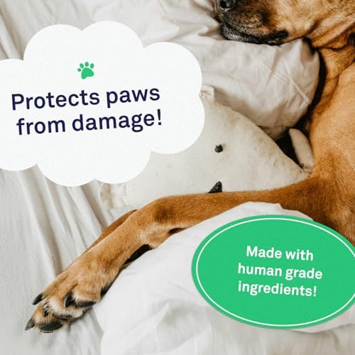 Vue 3 de Petpost Protection Pour Pattes