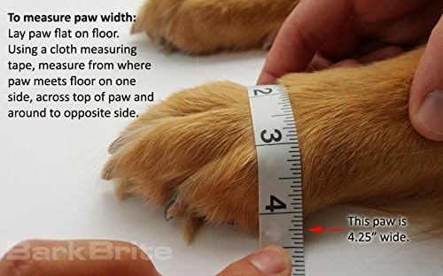 Vue 6 de Bark Brite Bottes Legeres