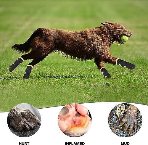 Vue 6 de Lot De Bottes Dhiver