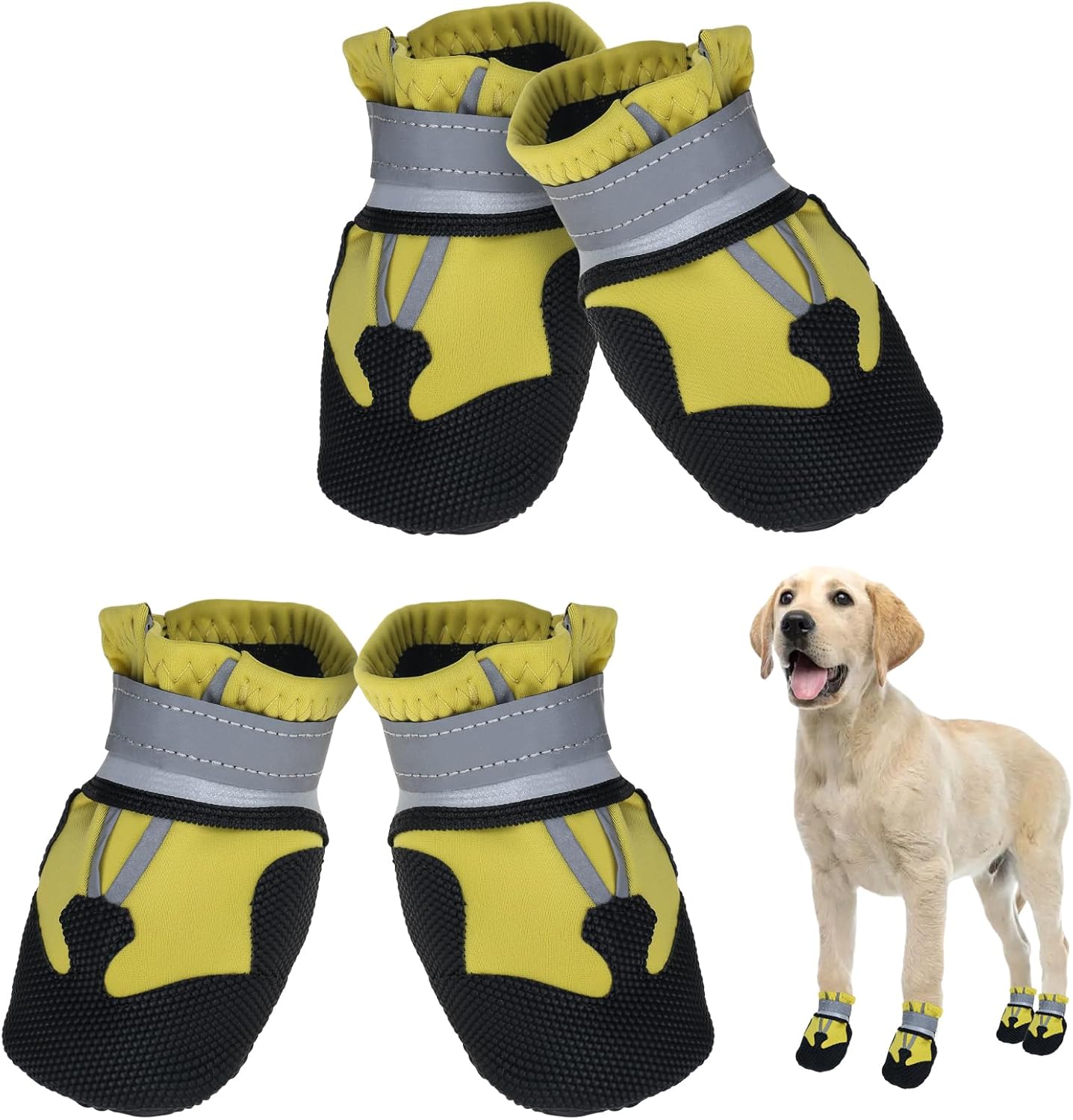 Avvrel Bottes Pour Chien
