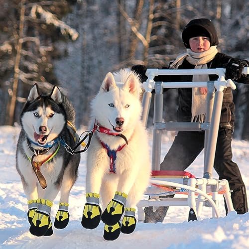 Vue 6 de Avvrel Bottes Pour Chien