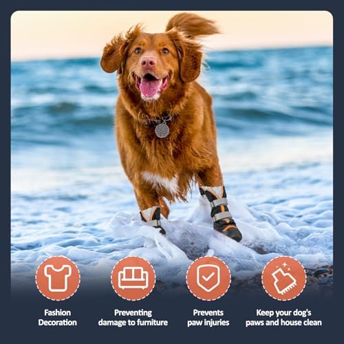 Vue 5 de Ohcozzy Chaussure Chien Profondement