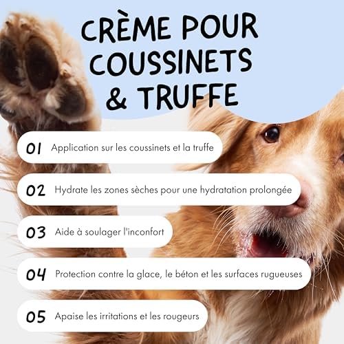 Vue 2 de Belly Baume Coussinet Chien