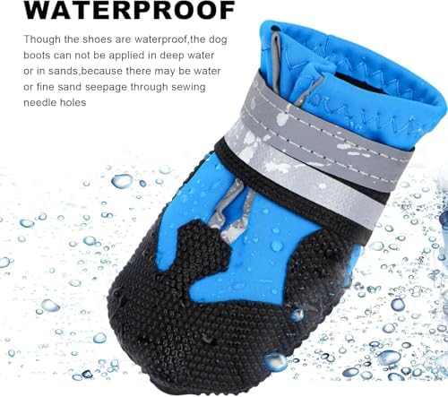 Vue 4 de Bottes De Chienbottes Pour