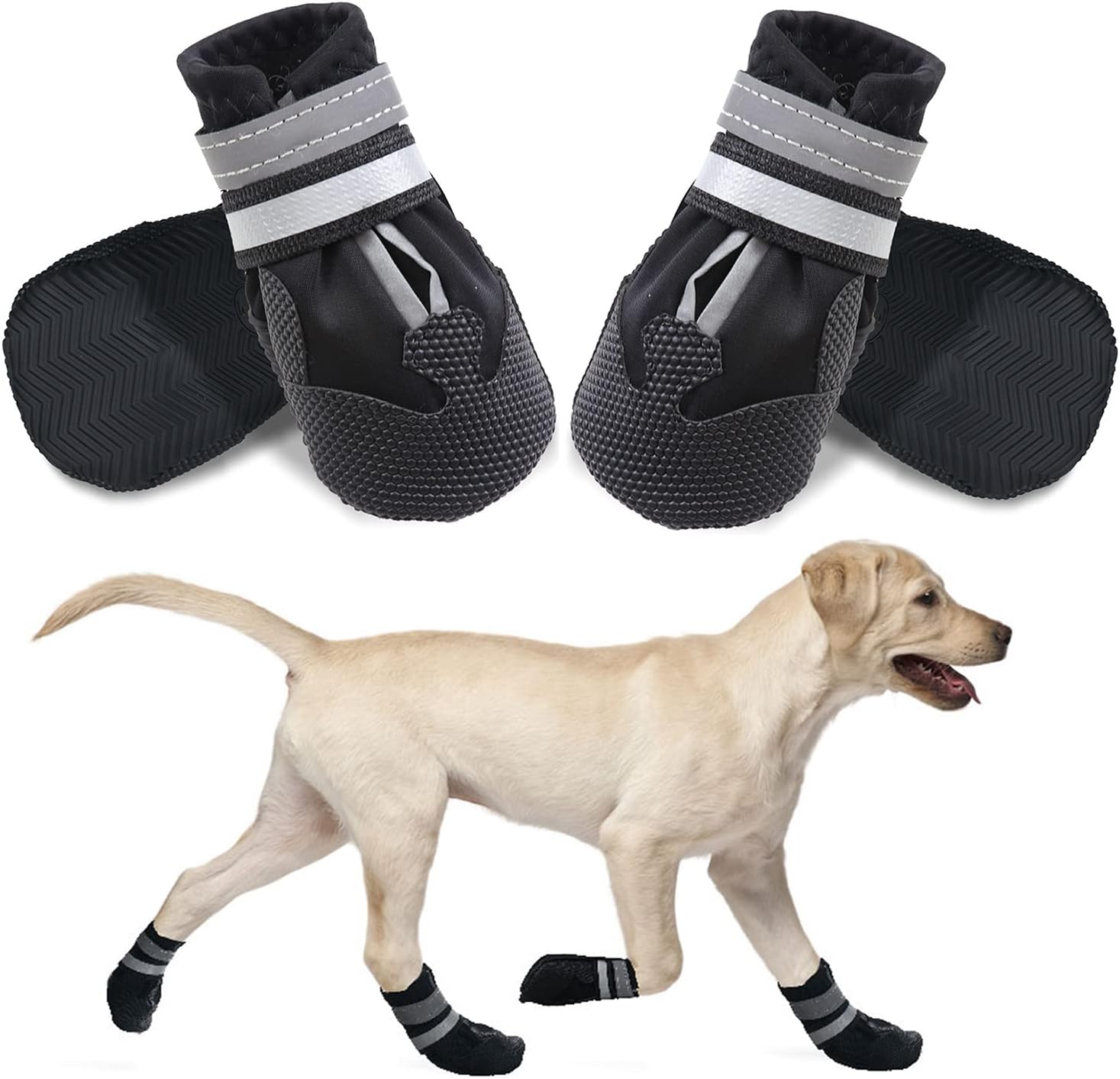 Dricar Bottes Chien Ensemble