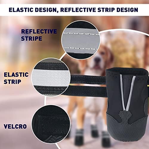 Vue 4 de Dricar Bottes Chien Ensemble