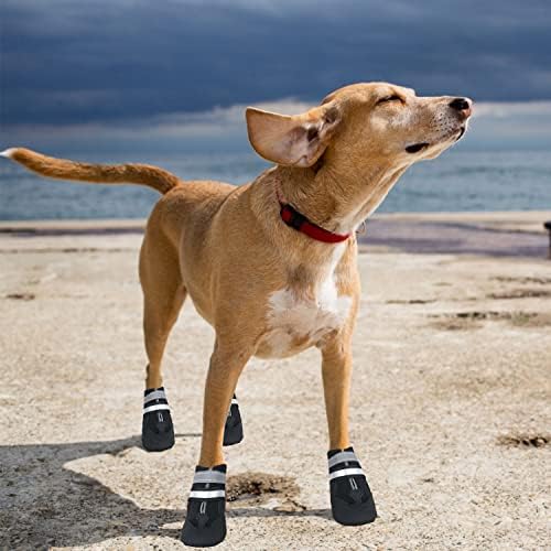 Vue 6 de Dricar Bottes Chien Ensemble