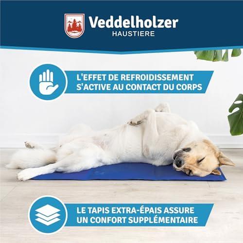 Vue 7 de Veddelholzer Tapis Rafraichissant