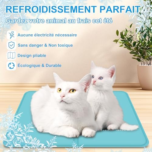 Vue 2 de Ieeilulu Tapis Rafraichissant Pour