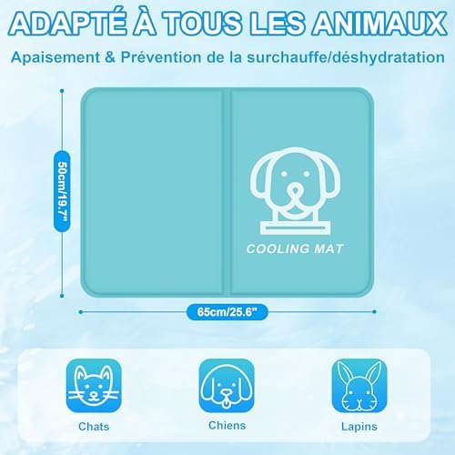 Vue 6 de Ieeilulu Tapis Rafraichissant Pour