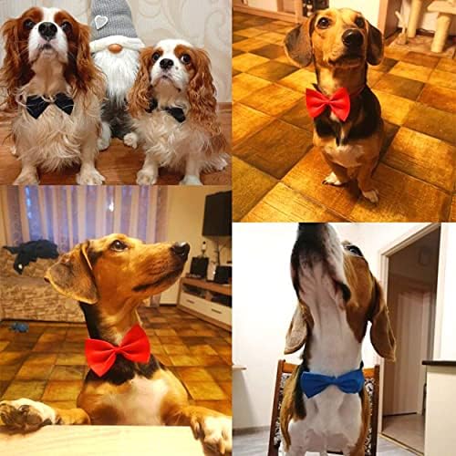 Vue 6 de Nud Papillon Tendance Pour